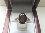 9 CARAT YELLOW GOLD GARNET and DIAMOND RING DD86A