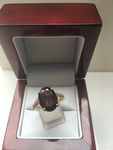 9 CARAT YELLOW GOLD GARNET and DIAMOND RING DD86A