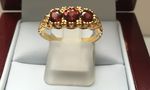 GARNET 9 CARAT YELLOW GOLD RING DDR257