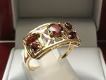 NATURAL GARNET 9 CARAT RING DGDR2198