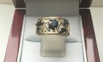 NATURAL SAPPHIRE  9 CARAT YELLOW GOLD RING DGDR2198