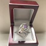 SOLID SILVER MULTI GEMSTONE RING AGR2125901